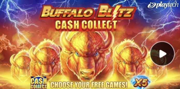 Buffalo Blitz