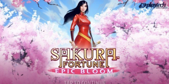 Sakura Fortune